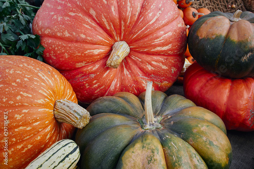 Foto Brightly coloured pumpkins and squash (Cucurbita) of various types