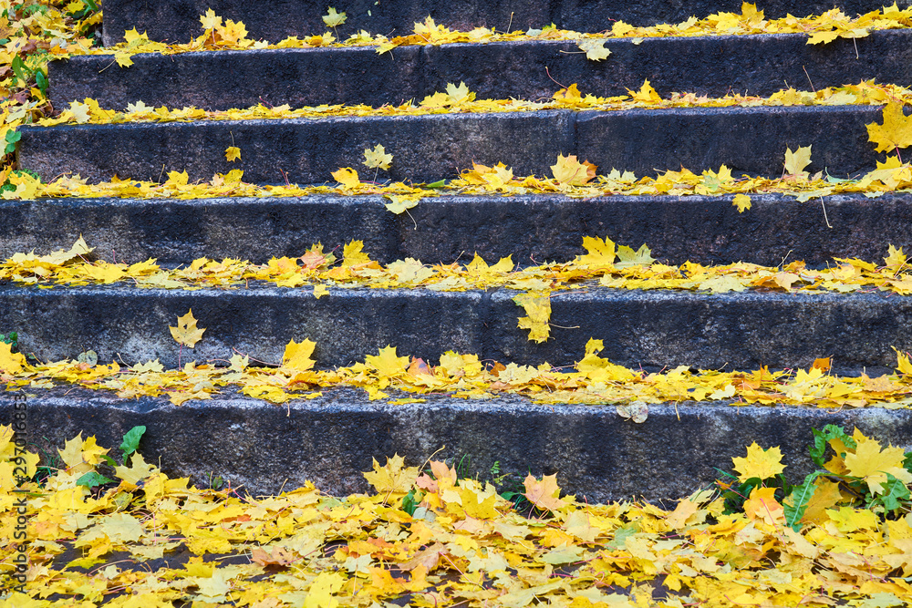 Obraz premium Stairs filled with colourful autumn leaves.