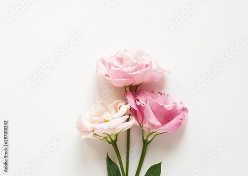 Beautiful pink and white eustoma flower (lisianthus) in full bloom with green leaves. Bouquet of flowers on white background. Flat lay.
