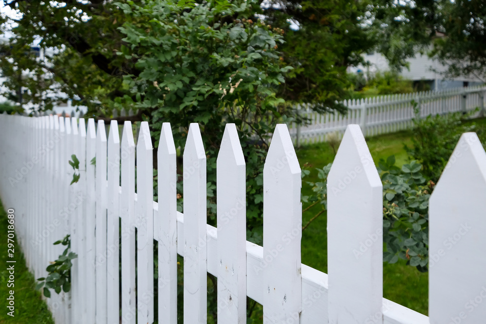 A crisp white wooden picket fence dividing a country garden of green foliage and trees. The long line of fencing is in the foreground with tall maple trees in the background.