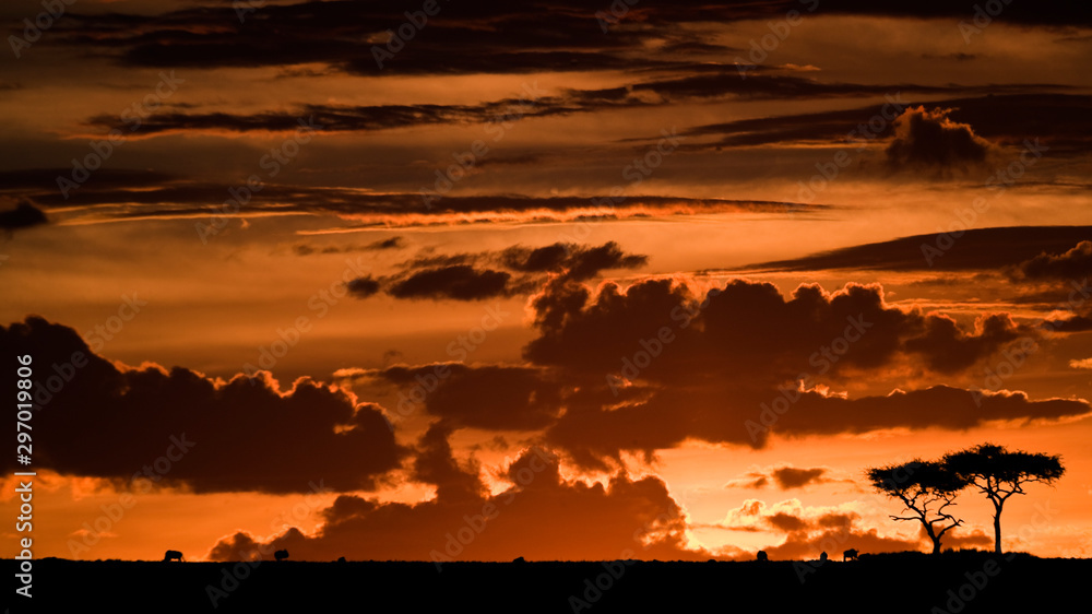 Fototapeta premium Maasai Mara sunset, Kenya
