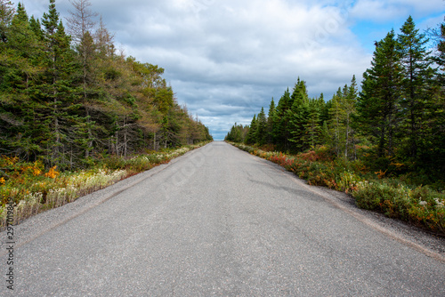 Country road with autumn trees and shrubs along the sides. The sky is cloudy with blue in the background. The long paved road is in the center foreground leading the eyes to the sky. © Dolores  Harvey