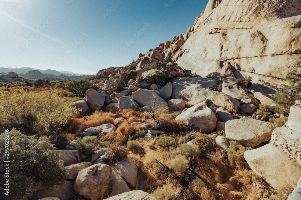 Obraz premium Rocks in the Desert at Joshua Tree National Park