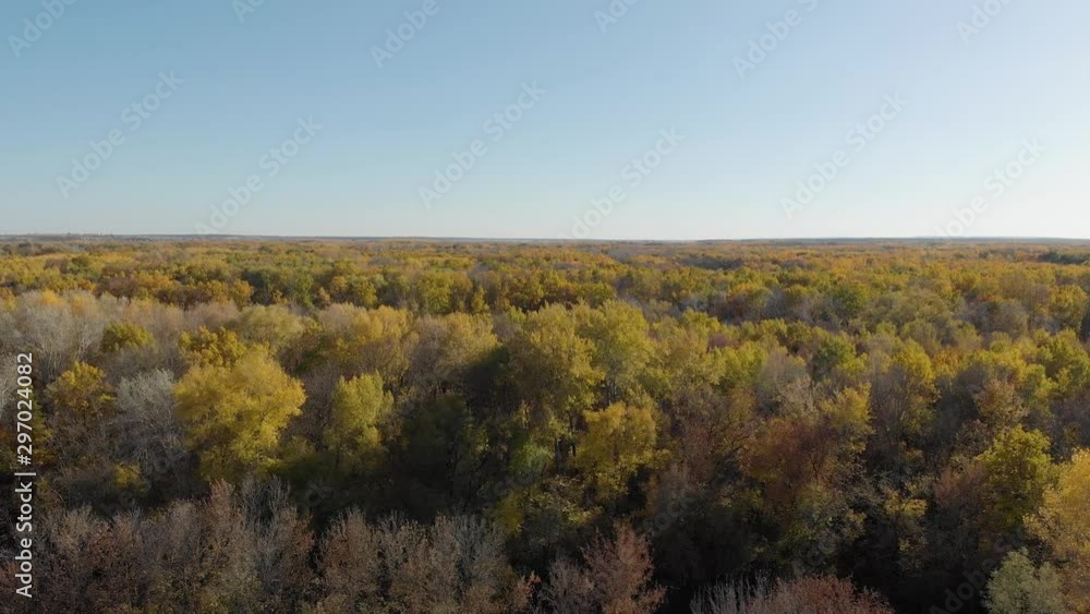Aerial view beautiful autumn forest with yellow and red trees. Autumn in forest, aerial top view look down Aerial view beautiful autumn forest with yellow and red trees. Autumn in forest, aerial top view look down