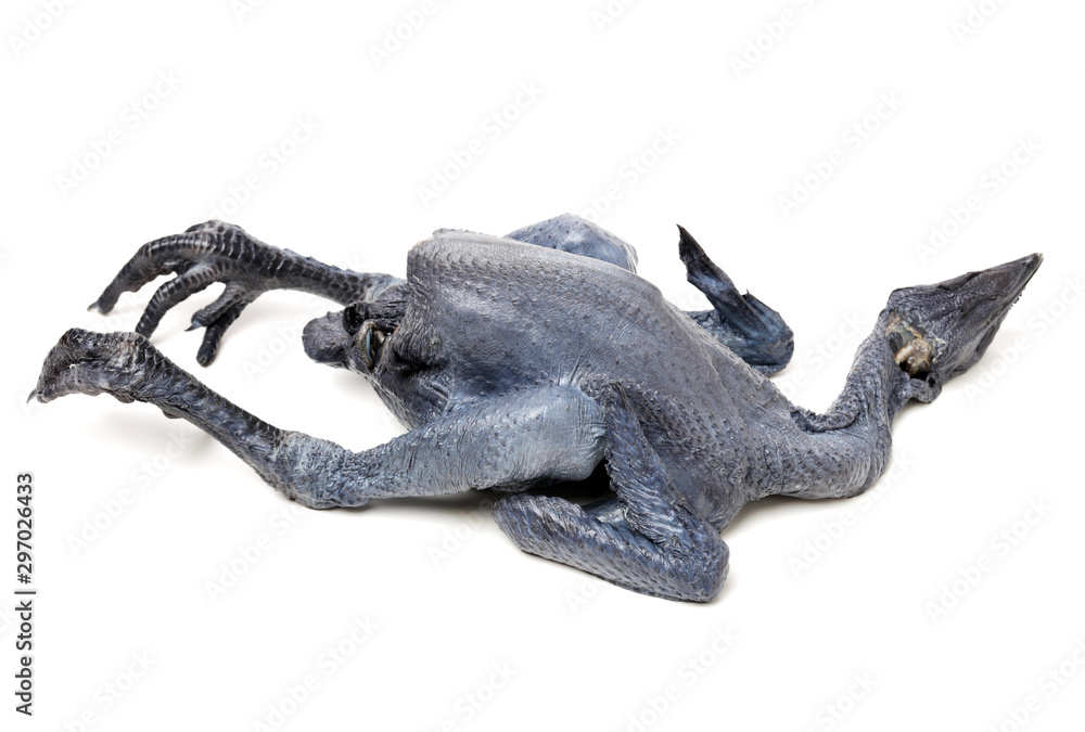 Fototapeta premium Whole Black Chicken, Silkie, Isolated On White Background