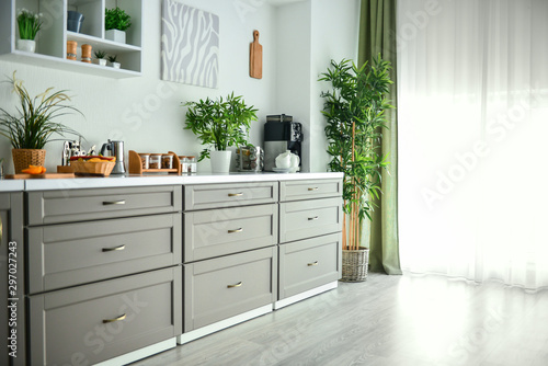 Modern interior of kitchen with green houseplants