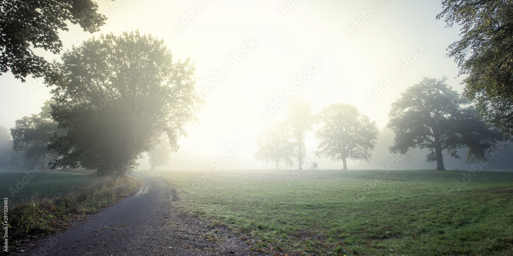 A landscape in the country Brandenburg (Germany) in autumn. It's foggy in the early morning. Concept: Landscapes in Germany A landscape in the country Brandenburg (Germany) in autumn. It's foggy in the early morning. Concept: Landscapes in Germany