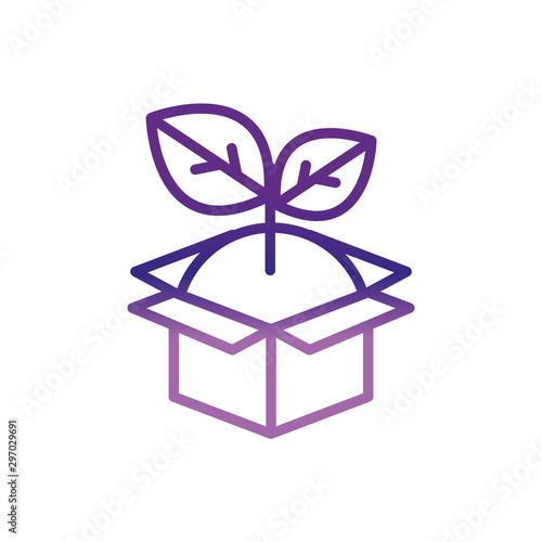 cardboard box plant charity help donation