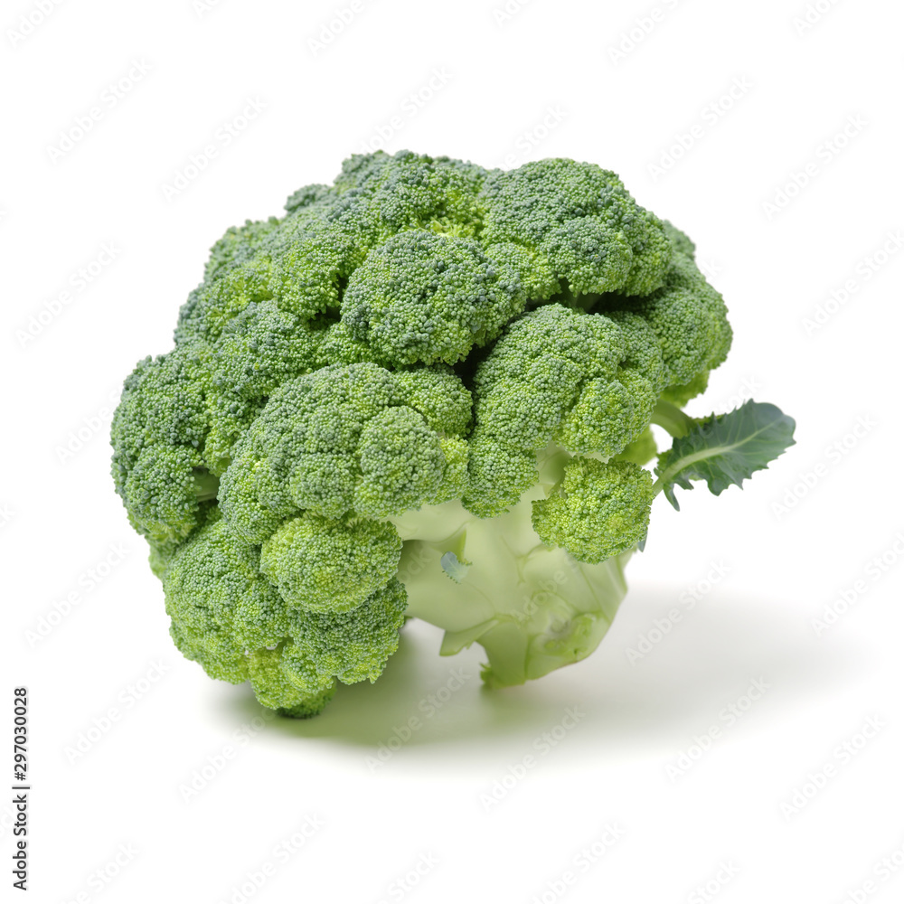 Broccoli vegetable on white background Broccoli vegetable on white background