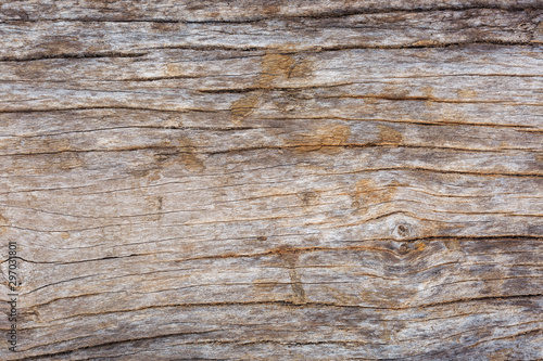 pattern and art of decay wood surface