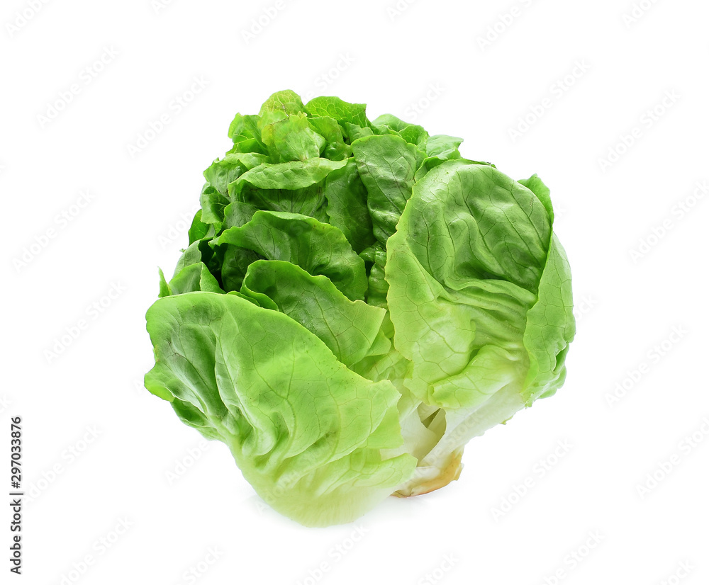green baby cos lettuce vegetable isolated on white background green baby cos lettuce vegetable isolated on white background