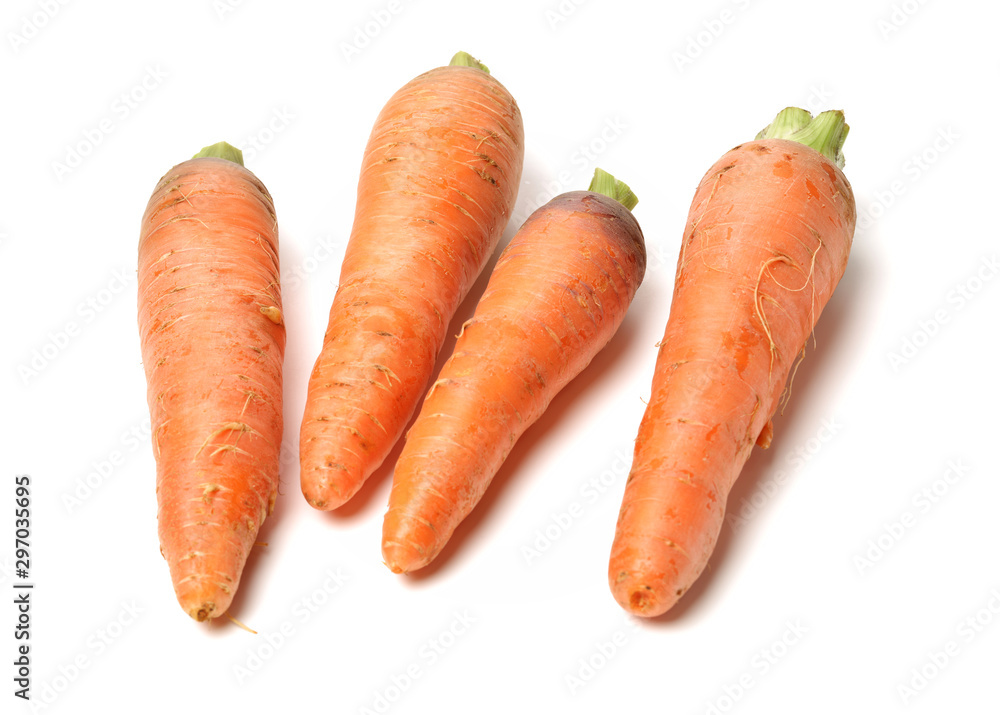 Fresh carrot on a white background Fresh carrot on a white background