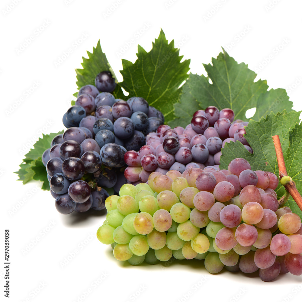 Grapes on a white background Grapes on a white background