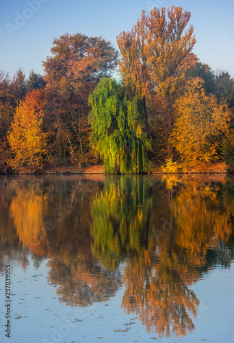 Lake reflections of fall foliage. Colorful autumn foliage casts its reflection on the calm waters. Autumn landscape.