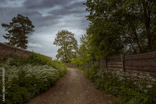 Forest path extending into the distance. A beautiful summer park with a trail surrounded by white flowers and different trees. Overcast. The sky is frowning. Landscape before a thunderstorm.