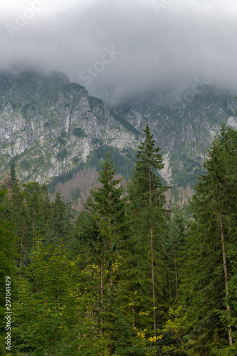 Fototapeta Naklejka Na Ścianę i Meble -  Strążyska Valley, Tatra National Park in Poland