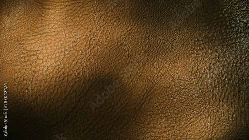 brown leather texture of skin