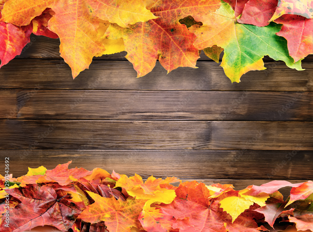 Obraz premium autumn colored fall leaves on wooden background