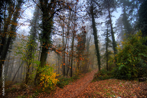 Fotografie Beautiful Bilogora (Maglenča, Municipality of Veliko Trojstvo, Bjelovar Bilogora