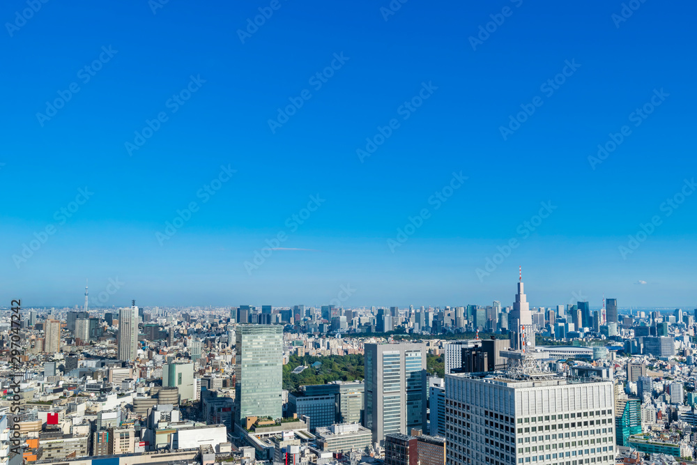 Fototapeta premium 新宿副都心の眺望