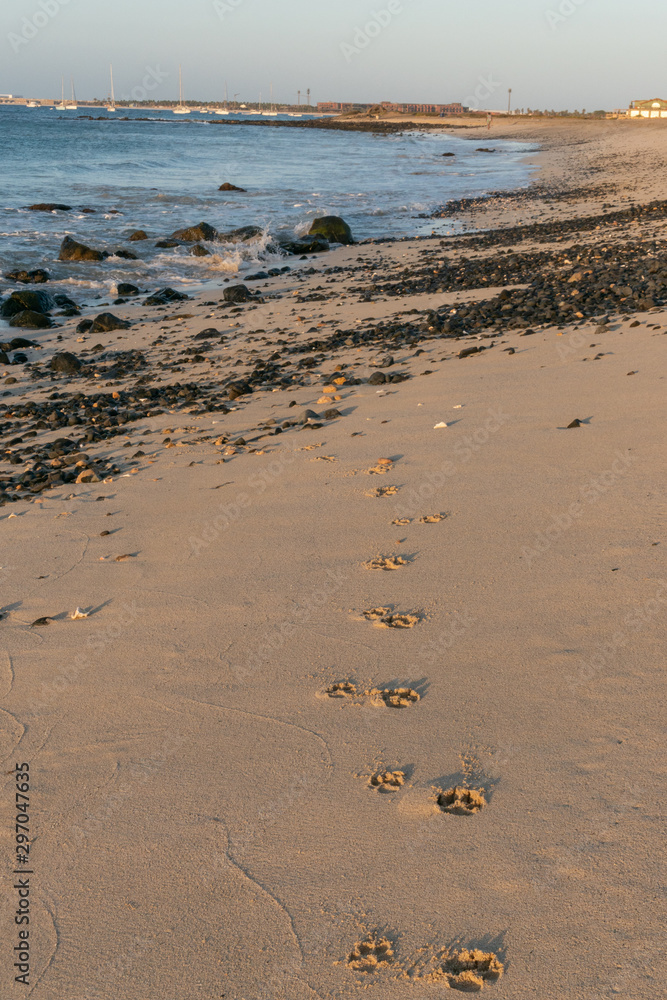 footprints on the beach footprints on the beach