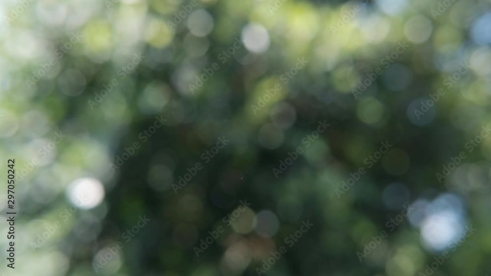 abstract background with bokeh abstract background with bokeh