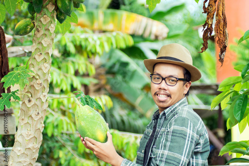 portrait of male farmer picking papaya fruit from the papaya plant © SVRSLYIMAGES