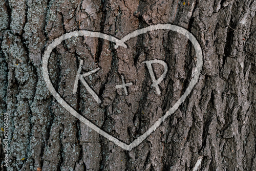 Obraz na plátně the names of peopel who love each other in the shape of heart carved on the tree