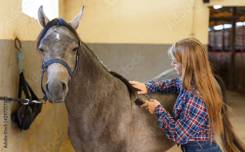 Girl using electric trimmer for shearing horse