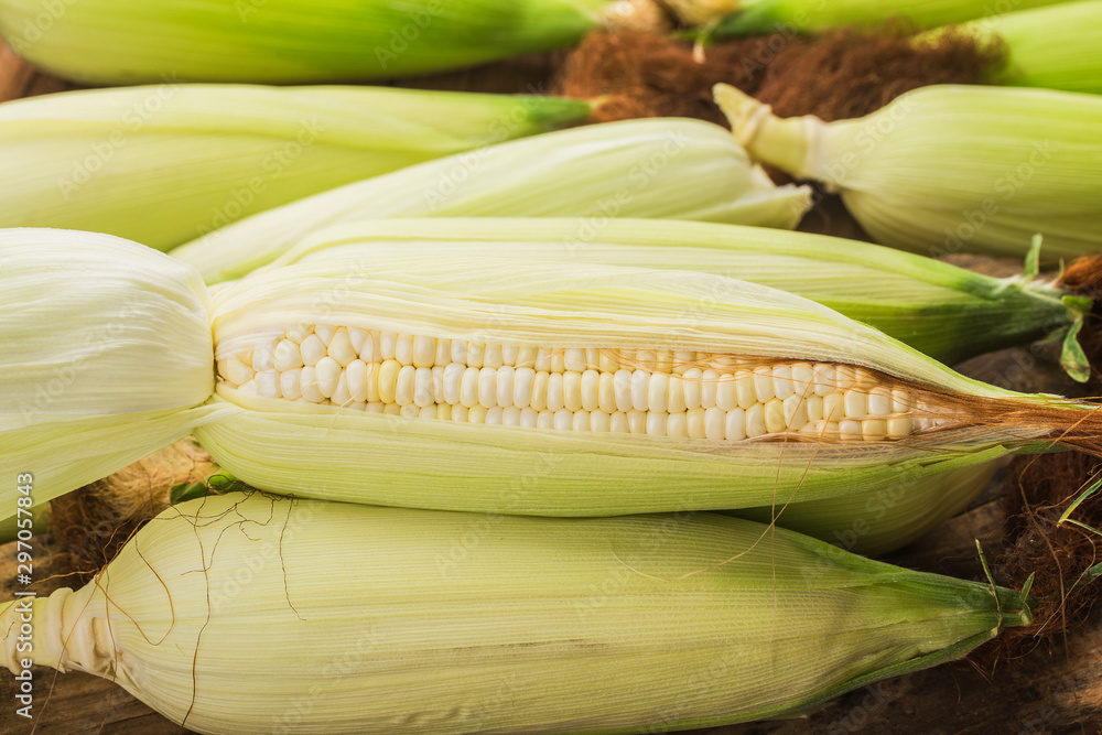 Grains of ripe corn on wooden background. Grains of ripe corn on wooden background.