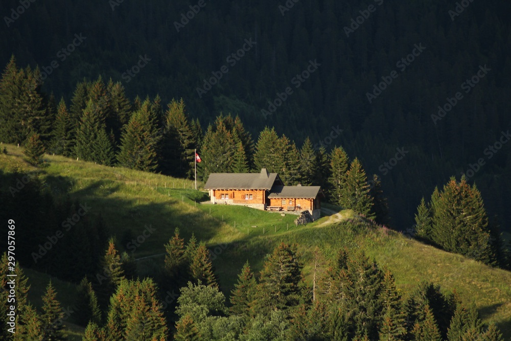 Alpine Pasture