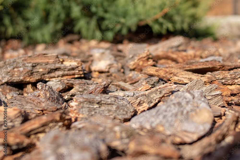 lawn made of pieces of tree bark lawn made of pieces of tree bark