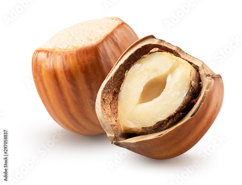 whole hazelnut with hazelnut in broken shell isolated on a white background photo