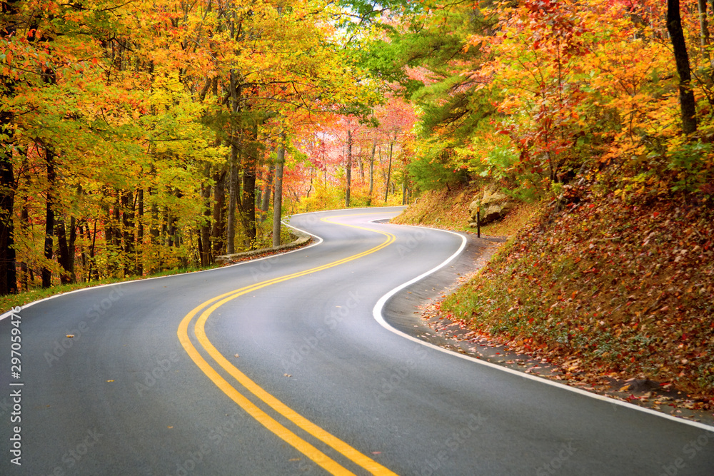 road in autumn with fallen leaves road in autumn with fallen leaves