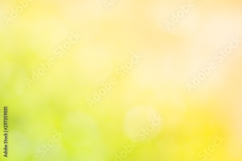 Sunlight bokeh the green leaves of trees natural blurred