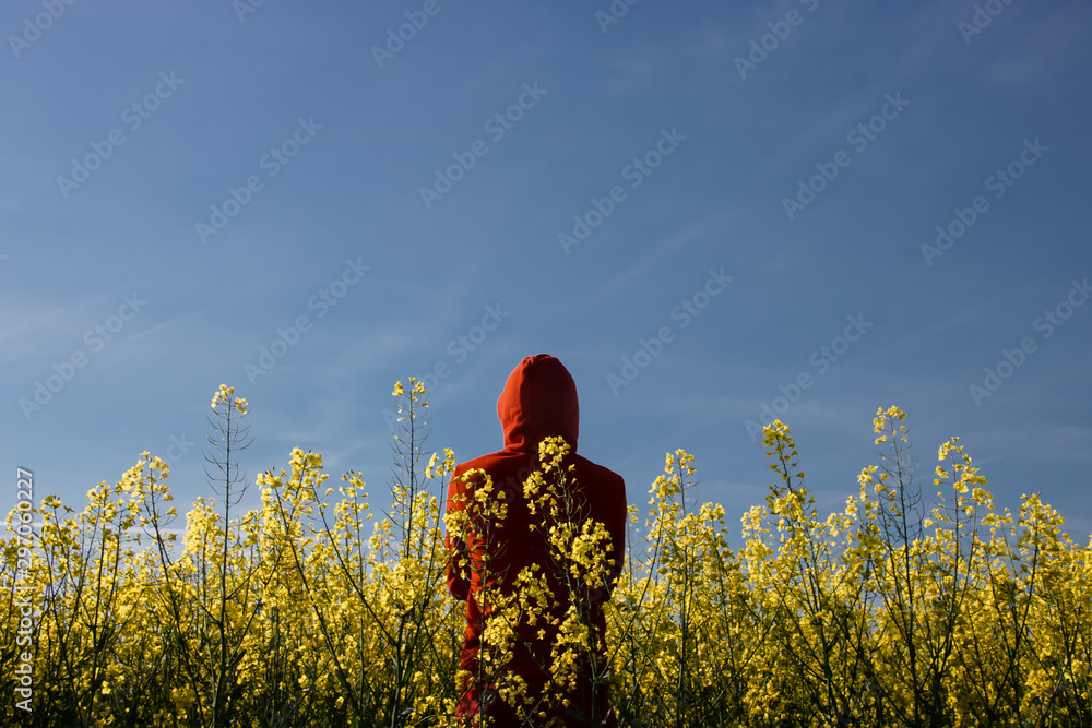 Φωτογραφία homme en rouge dans champ jaune
