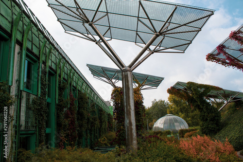  Cosmic autumn landscape of the future - climbing plants on unusual metal structures similar to solar panels.