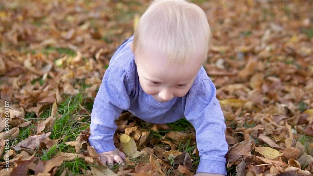 Happy baby crawls on colorful autumn leaves in the park Happy baby crawls on colorful autumn leaves in the park