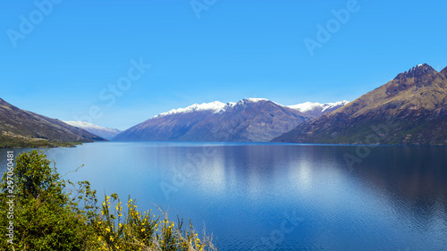 Picturesque Lake Wakatipu near Queenstown in spring  New Zealand