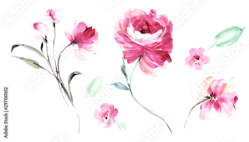 Flowers watercolor illustration.Manual composition.Big Set watercolor elements.