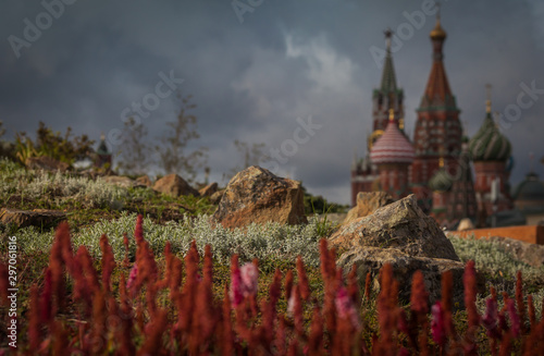 Himalayan bistort in the park Zaryadye against the background of St. Basil   s Cathedral in october.CR2