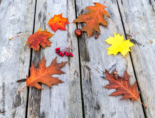 Colorful maple and oak leaves on background of wooden table in a resting area...