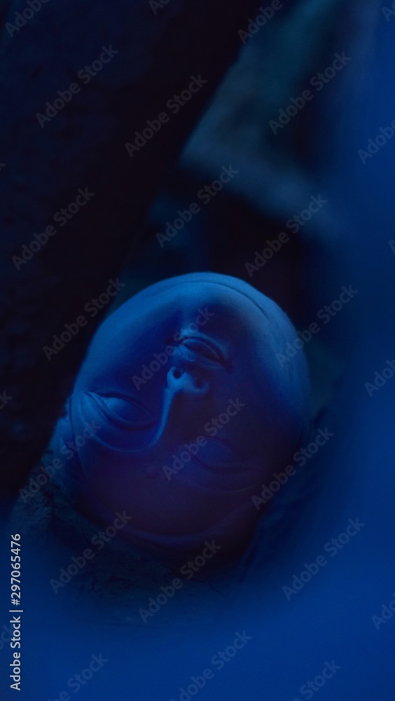 blue bulb on black background