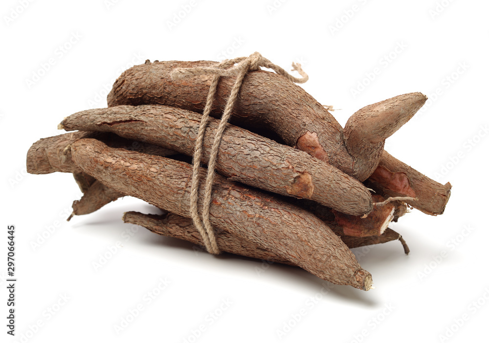 Fototapeta premium Cassava isolated on a white background
