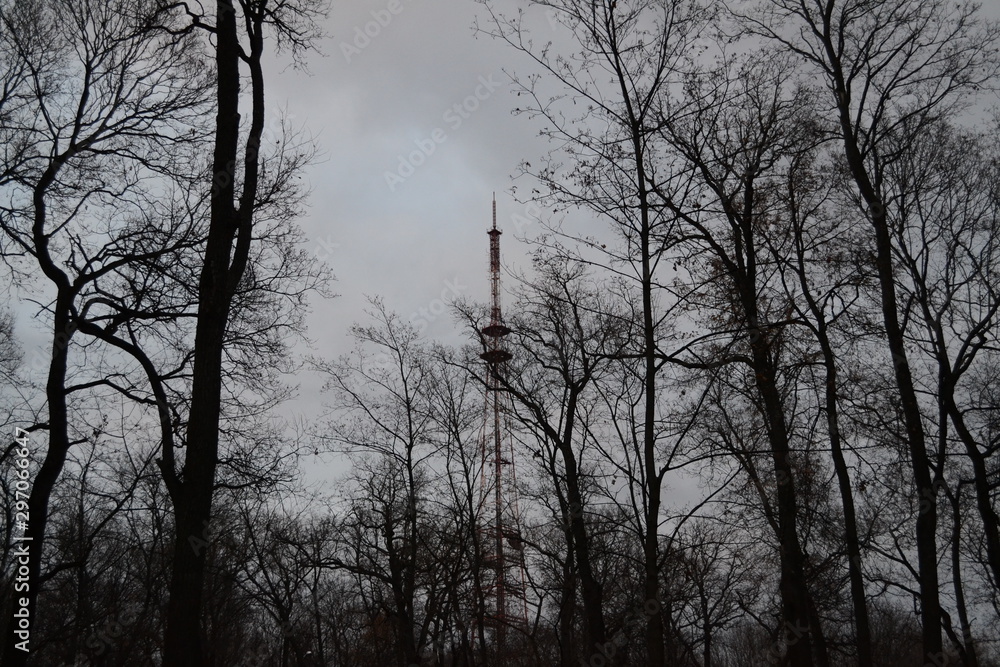 Tower among the trees on a cloudy evening Tower among the trees on a cloudy evening