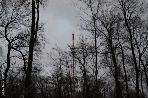 Tower among the trees on a cloudy evening