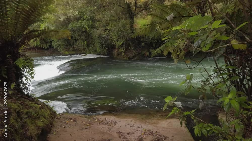 Swift flowing river through native forest, Rotorua, New Zealand Swift flowing river through native forest, Rotorua, New Zealand
