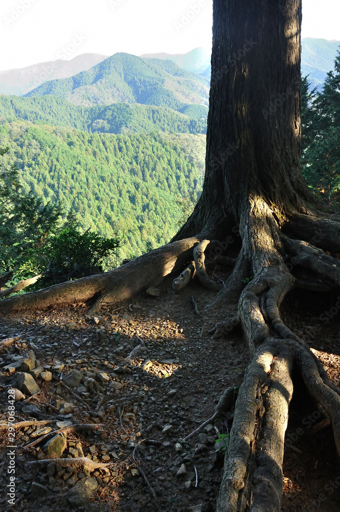 Obraz premium 奥武蔵の山地