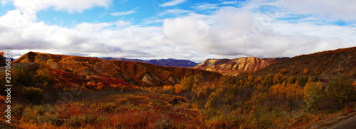 Cuadro en lienzo Indian Summer in Denali Nationapark