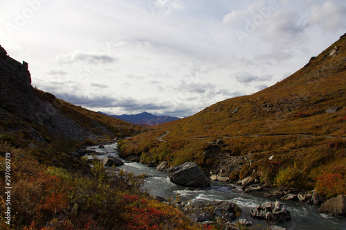 Landschaft in Alaska Denali Nationalpark